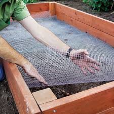 Raised Garden Bed Easy Diy Steps To Build An Elevated Planter Sunset Building A Raised Garden Raised Beds Raised Garden