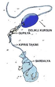 Levrek Avi Teknikleri Google Da Ara Balikcilik Ipuclari Deniz Balikciligi Ve Balik