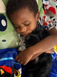 My Uncle Mickey has been airlifted to Greenville and he is