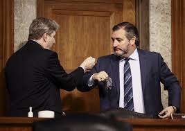 Ted cruz was fiercely criticised as he posted videos gushing over celebrities taking part in joe biden's inauguration. Ted Cruz Calls Fellow Senator A Complete Ass After Argument Over Masks