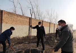 助推乡村振兴开封市尉氏县朱曲镇开展义务植树添绿- 中国日报网