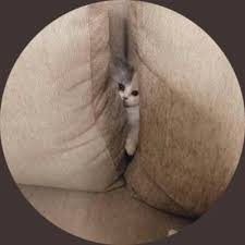 Sayang aku kau lupa aku kau luka mp3 & mp4. Ø³ÙˆÙ„ÙŠÙ‡Ù† Ø¨Ø§ÙƒØ¨Ø± Twitter Da Sayang Aku Kau Lupa Aku Kau Luka Tanpa Kau Sedar