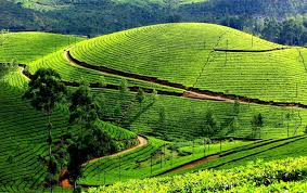 Udhagamandalam Ootacamund Ooty In Tamilnadu Munnar Tourist Places