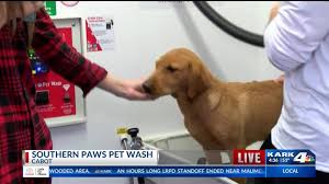 Quality of life for your pet. Self Service Pet Wash In Cabot