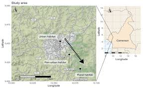 Termite control in northwest arkansas. Insects Free Full Text Habitat And Seasonality Affect Mosquito Community Composition In The West Region Of Cameroon Html