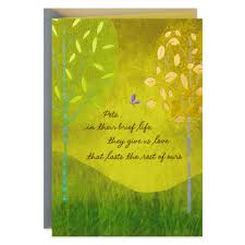 Check spelling or type a new query. Love That Lasts Sympathy Card For Loss Of Pet Greeting Cards Hallmark
