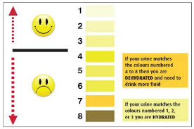 20 Veracious Baby Pee Color Chart