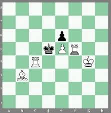 Jika anda mempunyai koleksi problem catur 3. Permainan Catur 3 Langkah Mati Yang Menantang Dan Menggemaskan