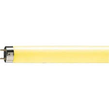 Thus, high power led lighting bulb became a hot topic to discuss in the technological world. Philips 726872 Tld 18w 16 Yellow Straight T8 Fluorescent Tube Light Bulb Amazon Com
