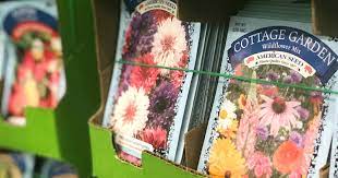 See actions taken by the people who manage and post content. Get Ready For Spring At Dollar Tree Grab 25 Flower Seed Packets 1 Planters Tools More Hip2save