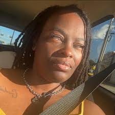 Gray Cat with Pink Nose