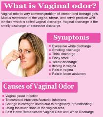 Pin On Bacteria Vaginosis