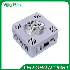 We did not find results for: Full Spectrum Led Grow Light 100w 200w 400w 800w 1200w 8band Cob Led Plant Grow Light Indoor Veg Flowering Very High Yield Full Spectrum Led Grow Full Spectrumspectrum Led Aliexpress