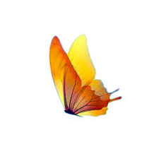 Yellow Butterfly Tattoo Design Yellow Butterfly Tattoo Simple Butterfly Tattoo Yellow Butterfly