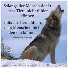 Schreibt man ingeneur oder ingenieur desweiteren oder des weiteren. Pin Von Astrid Hunderlage Auf Sprichworter Zitate Spruche Tiere Indianische Weisheiten Tiere