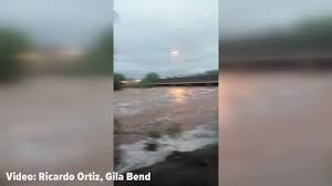 A cactus (plural cacti, cactuses, or less commonly, cactus) is a member of the plant family cactaceae, a family comprising about 127 genera with some 1750 known species of the order. One Of The Rainiest Days Streets Flooded Schools Closed As Rosa Takes Toll On Arizona Wusa9 Com