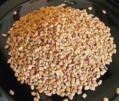 They are commonly used as a spice in egyptian, indian, and middle eastern foods. Fenugreek