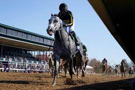 Sign up for free newsletters. Pegasus World Cup 2021 Knicks Go Has Name That S Not What You Think