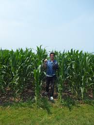 作者はノンケですかね 妹はいないぞ 東方の浣腸してるキャラじゃん 姉の方が人気高いだろ 妹を売る 下から顔入れてえなあ で、出ますよ まずい. ãƒ•ã‚£ãƒ¼ãƒ«ãƒ‰ ã‚ªãƒ– ãƒ‰ãƒªãƒ¼ãƒ ã‚¹ Field Of Dreams Movie Site ãƒ¡ã‚¸ãƒ£ãƒ¼ãƒªãƒ¼ã‚°è¦³æˆ¦ ãƒ‰ãƒƒãƒˆ ã‚³ãƒ 