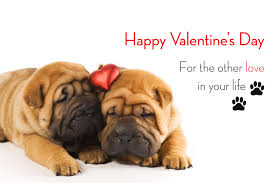 Great for sharing on facebook. 47 Valentine S Day Dog Wallpaper On Wallpapersafari