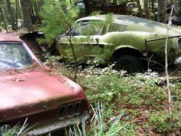 If you love ford mustangs this is the place for you. Abandoned Cars Abandoned Cars Barn Find Cars Abandoned