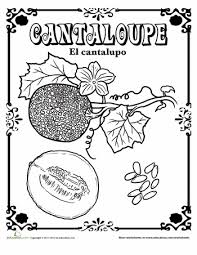 The explore page is now so beautiful and convenient. Cantaloupe In Spanish Worksheet Education Com Coloring Pages Education Com Spanish