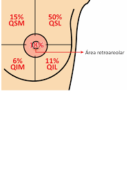 Grátis: Ginecologia - Material Claro e Objetivo em PDF para Estudo Rápido