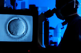 Maybe you would like to learn more about one of these? Women Can Freeze Their Eggs For The Future But At A Cost Shots Health News Npr