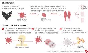 El período de tiempo durante el cual una persona infectada puede no haber desarrollado síntomas muy específicos o graves. Coronavirus Que Es Sintomas Y Todo Lo Que Debes Saber Del Covid 19
