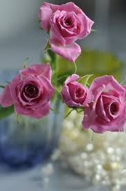 Pin By Selam On Rose Flower Bokeh Flower Wallpaper Flowers