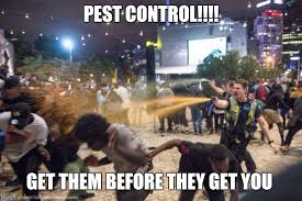 Terminixmemphis exterminators, termite, & pest control. Pest Control Memes Gifs Imgflip