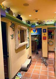Maybe you would like to learn more about one of these? Zen By Cat House Of Nekko Catwalks