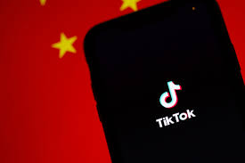You Should Stop Using Tiktok Here S Why European Pirate Party