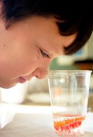 Students learn about pollution's effects