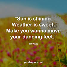 May 21, 2021 siri stafford. Funny Quotes About An Empty Beach And Sunshine Meaningful And Happy Summer Quotes Pixels Quote Dogtrainingobedienceschool Com