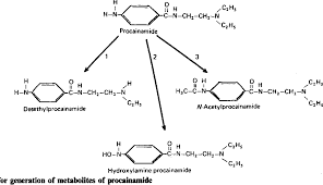 Pdf Metabolites Of Procainamide And Practolol Inhibit Complement Components C3 And C4 Semantic Scholar