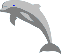 Maybe you would like to learn more about one of these? Dolphin Fish Porpoise Sea Free Vector Graphic On Pixabay