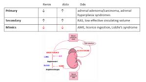 Primary memory is also called internal memory whereas secondary memory is also known as a. Distinguishing Between Primary And Secondary Hyperaldosteronism Grepmed