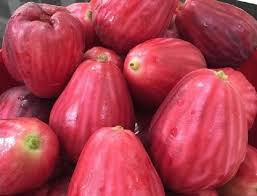 Maybe you would like to learn more about one of these? 10 Jenis Jambu Air Dan Manfaat Bukareview