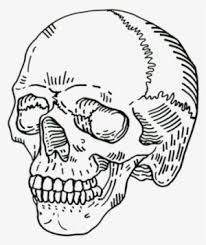 Kerchief skull graphy illustration, painted masked skull, watercolor painting, face png. Fractured Grim Reaper Skull Grim Reaper Face Png Png Image Transparent Png Free Download On Seekpng