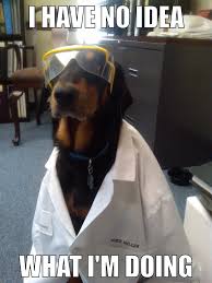 So Cute And Clueless My First Meme And It S Science Dog Dog Memes Puppy Love Memes