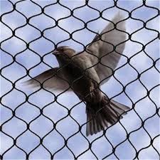 The important thing to know is when to cover your fruit trees. Black Nylon Anti Bird Netting Agricultural Bird Netting Buy Net Nylon Anti Bird Netting Agricultural Bird Netting Product On Alibaba Com
