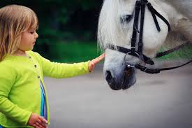 Equine Assisted Therapy