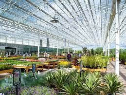 Our Open Skies Building Enabling Customers To Shop In All Weathers Plant Nursery Urban Garden Garden Center
