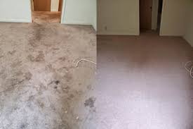 The character of berkeley is exemplified by its calm environment. Carpet Cleaner Carpet Cleaning In Walnut Creek Ca