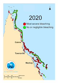 Great Barrier Reef Suffers Its Most Widespread Mass Bleaching Event On Record Great Barrier Reef Coral Bleaching Bleach