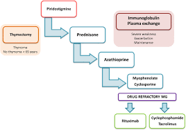 Myasthenia Gravis Treatment Updates Springerlink