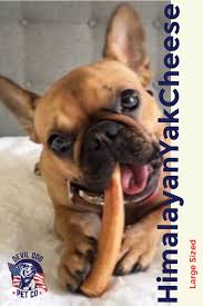 Large Yak Cheese Himalayan Dog Chew Dog Chews Dogs Pets