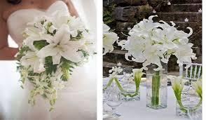 What flowers are in season in april for wedding. Breathtaking April Flowers That In Season Wedding Flowers Wedding Centerpieces April Flowers