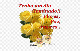 Imagens para facebook de dia da amizade atualizadas. Quero Agradecer A Sua Amizade Mensagens De Flores De Bom Dia Free Transparent Png Clipart Images Download